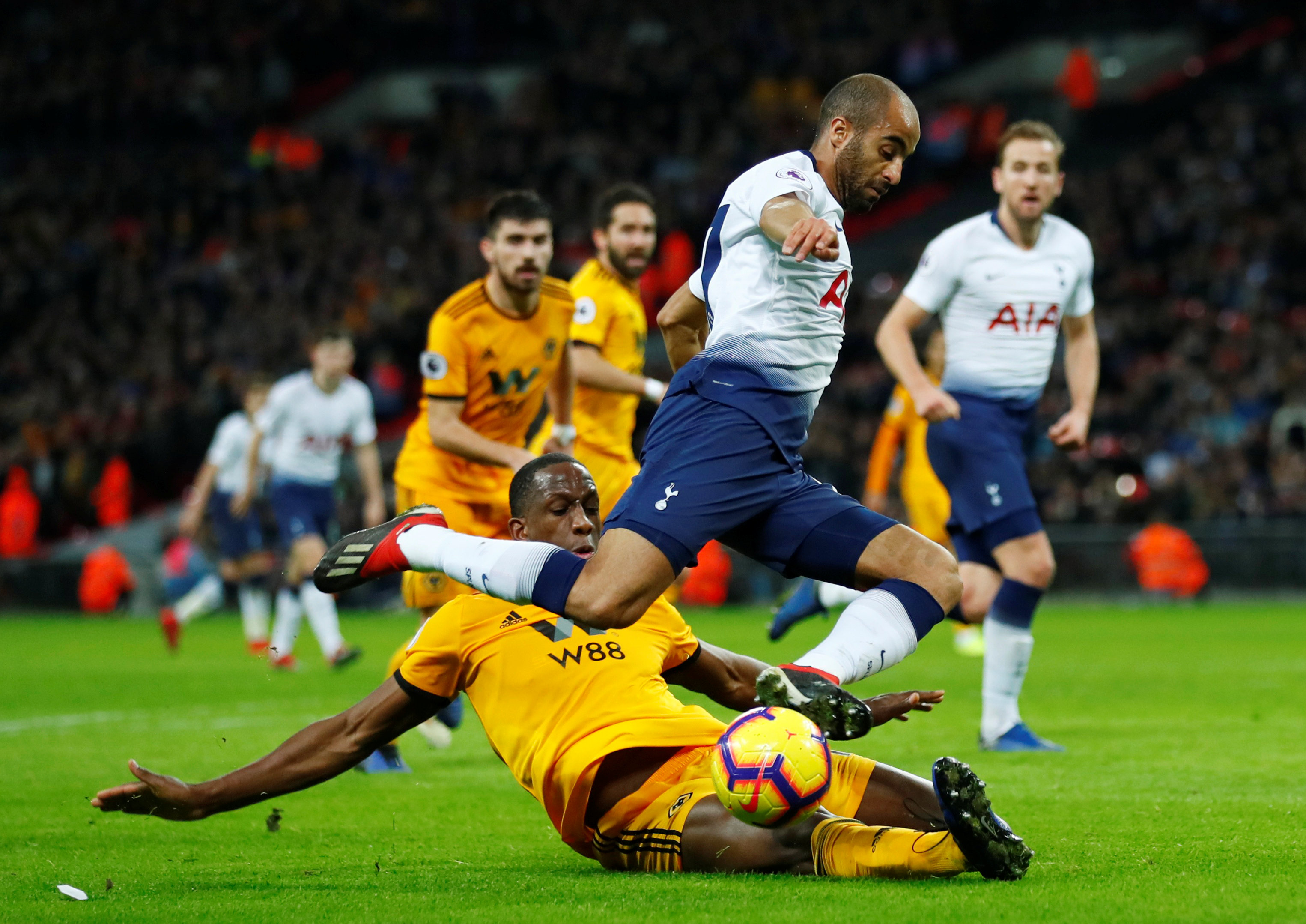 各个年龄段 各个年龄段